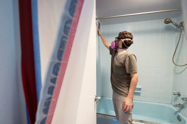 Best Post-Construction Mold Inspection  in Avondale, AZ