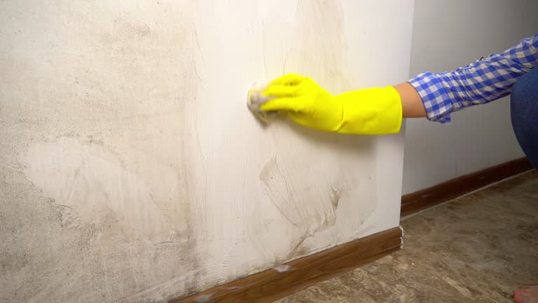 Best Water Damage & Mold Remediation  in Avondale, AZ