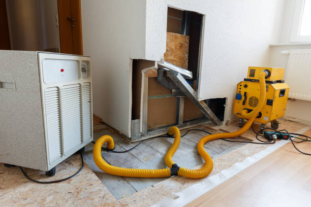 Best Mold Removal for HVAC Installations  in Avondale, AZ
