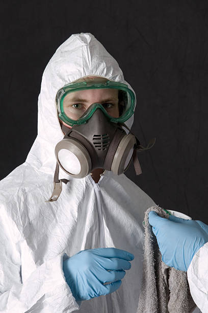 Best Attic Mold Removal  in Avondale, AZ